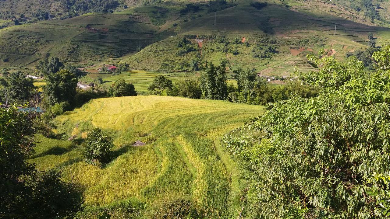 Ta Van Green Hills Homestay Sapa Εξωτερικό φωτογραφία