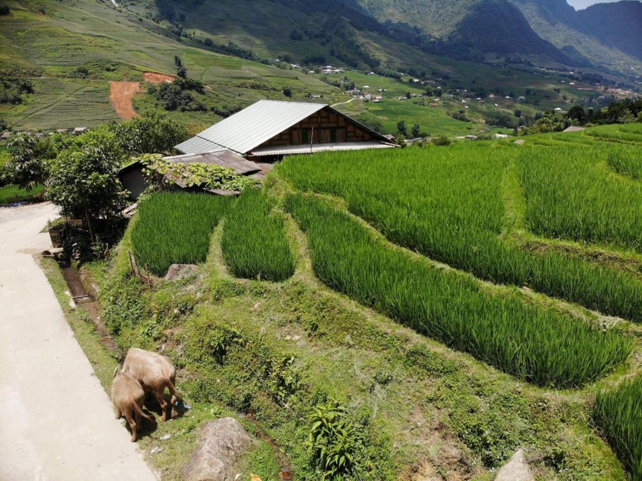 Ta Van Green Hills Homestay Sapa Εξωτερικό φωτογραφία