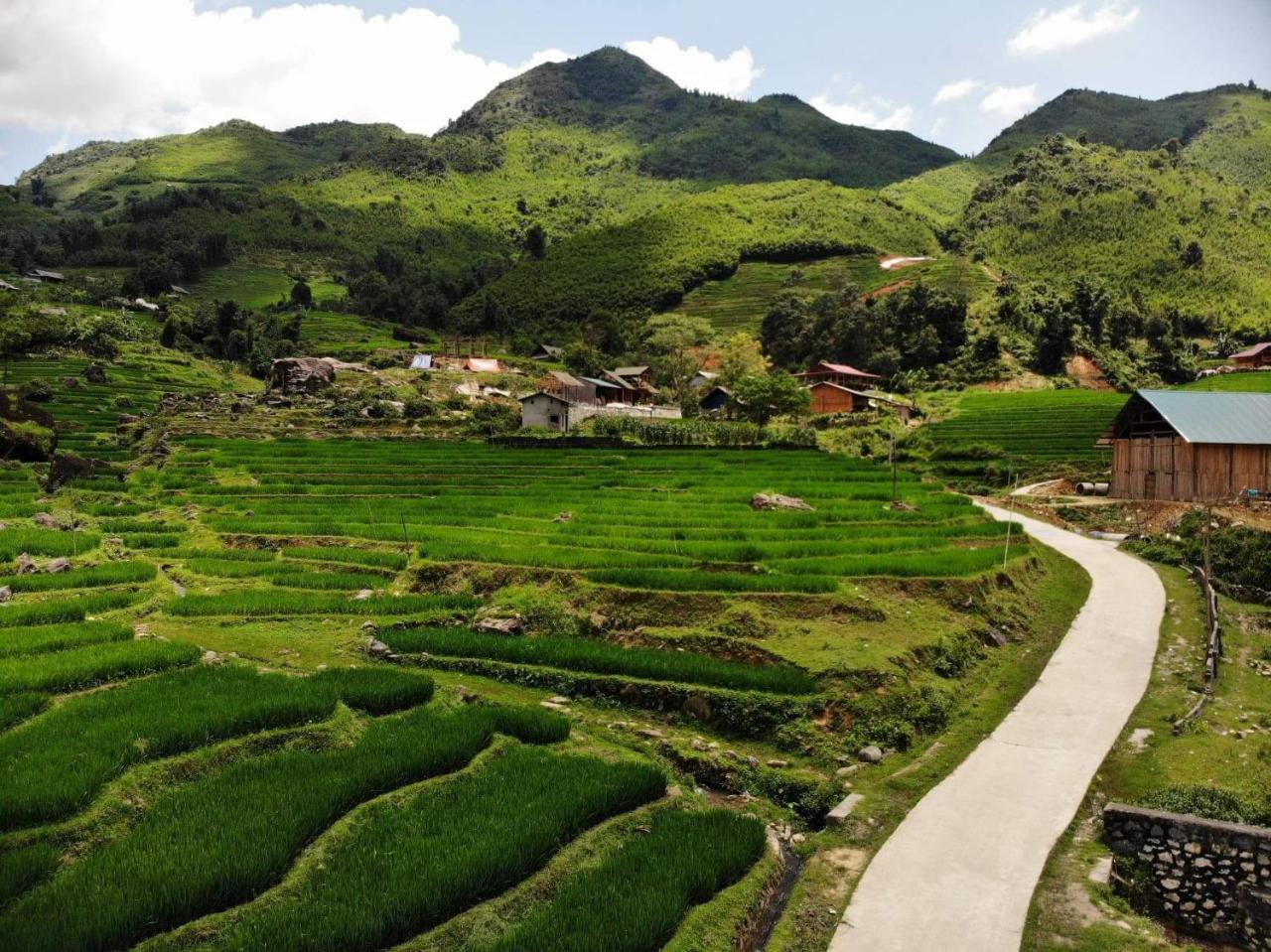 Ta Van Green Hills Homestay Sapa Εξωτερικό φωτογραφία